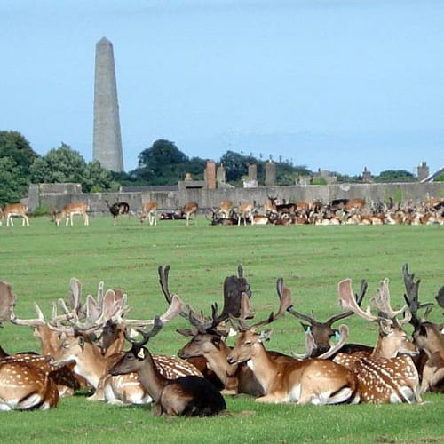 Phoenix Park